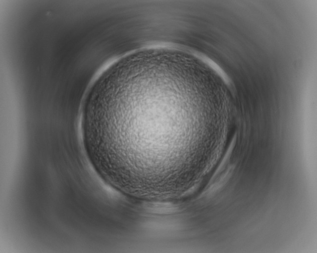 X0000113961007200910021522