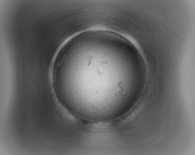 X0000113961008200910021522