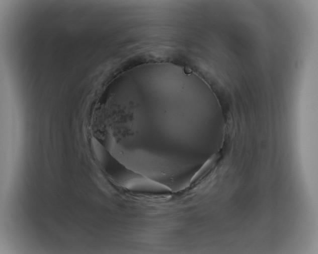 X0000113961009200910021521