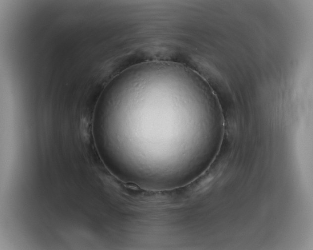 X0000113961010200910021521