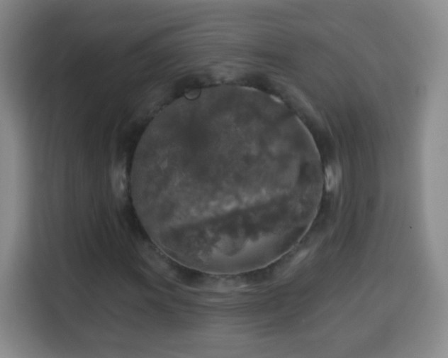 X0000113961011200910021521