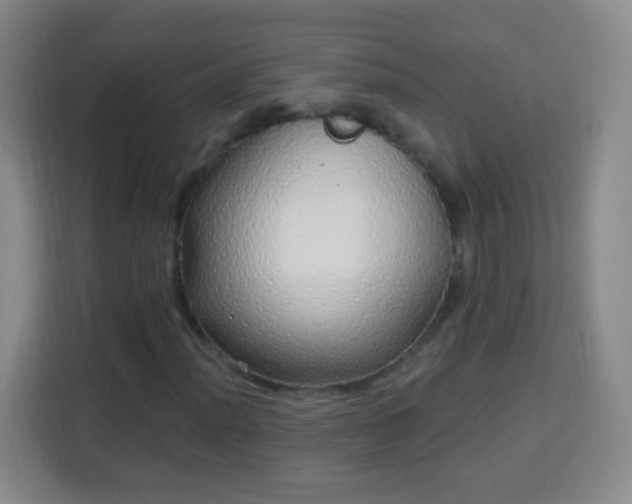 X0000113961012200910021521