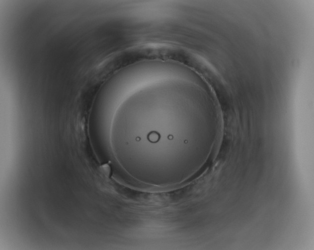 X0000113961013200910021521