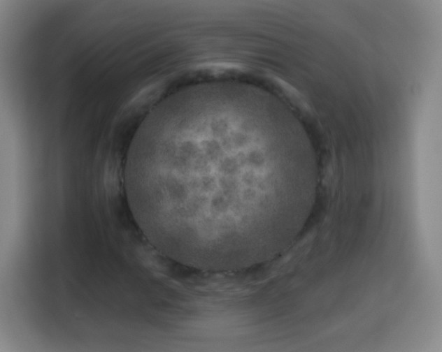 X0000113961014200910021521