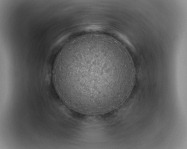 X0000113961015200910021521