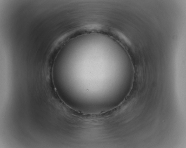 X0000113961016200910021521