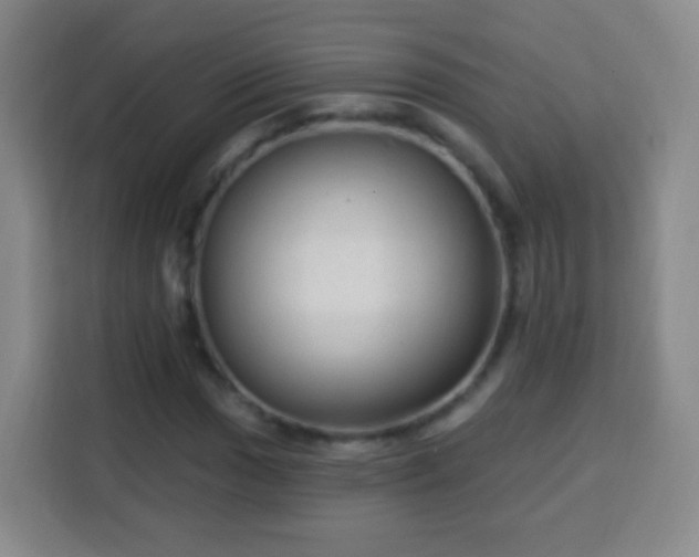 X0000113961017200910021521