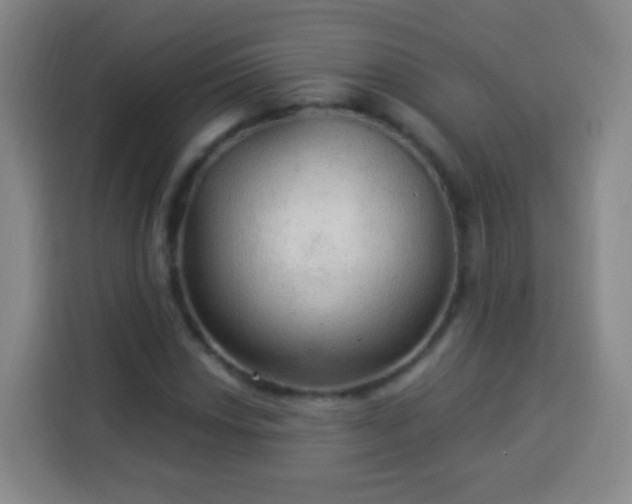 X0000113961018200910021521