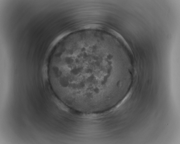 X0000113961019200910021521