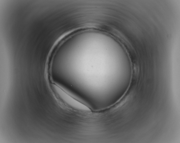 X0000113961020200910021521