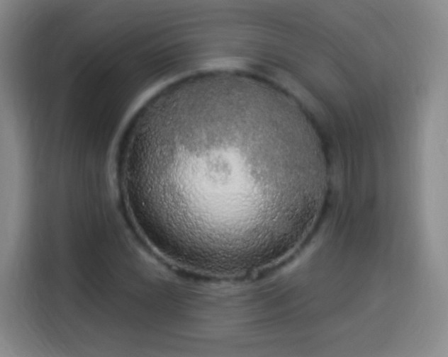 X0000113961022200910021521