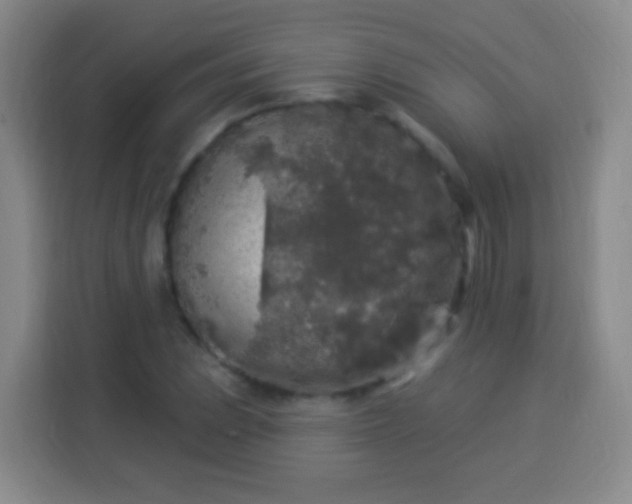 X0000113961023200910021521