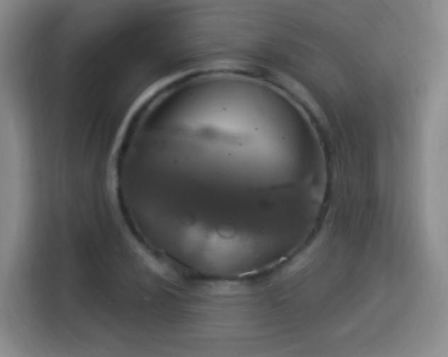 X0000113961024200910021521