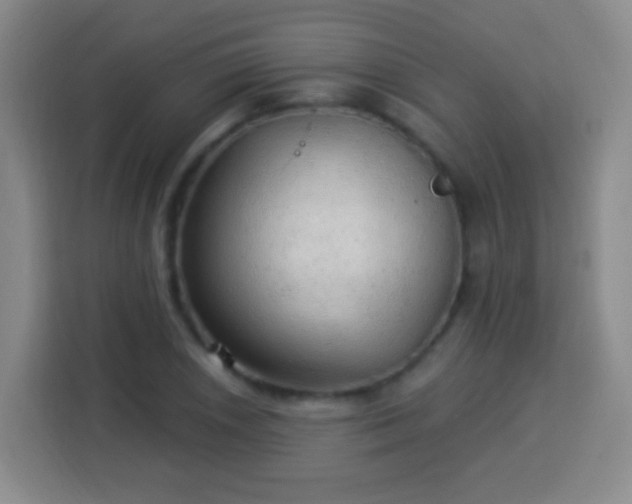 X0000113961026200910021521