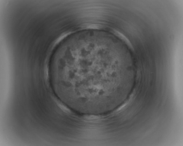 X0000113961027200910021521