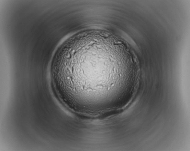 X0000113961028200910021521