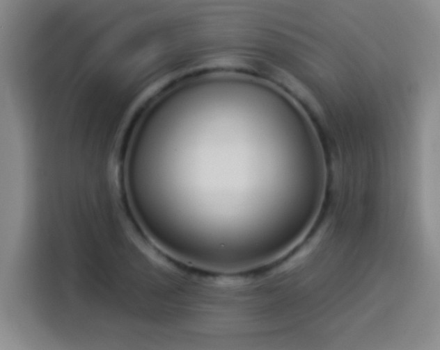 X0000113961029200910021521