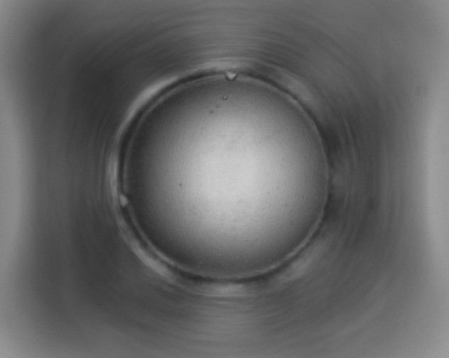 X0000113961030200910021521