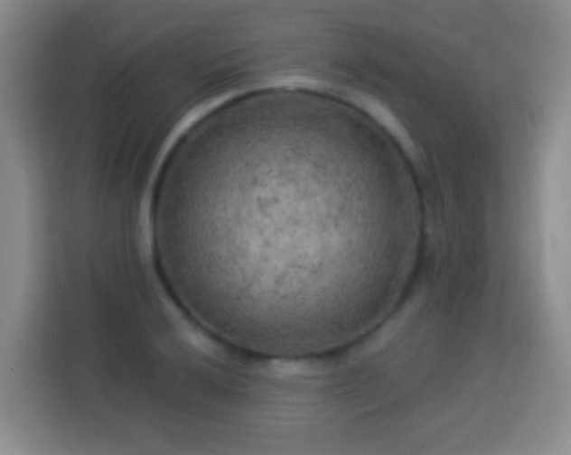 X0000113961032200910021521