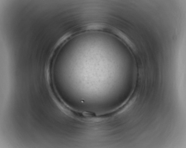 X0000113961034200910021521