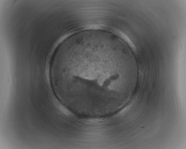 X0000113961035200910021522