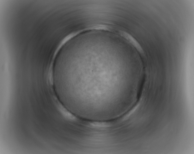 X0000113961036200910021522