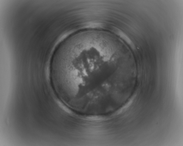 X0000113961037200910021522