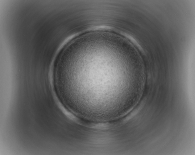 X0000113961038200910021522