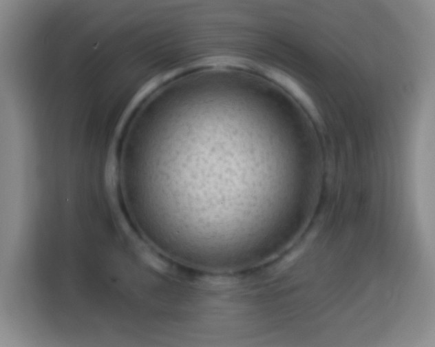 X0000113961040200910021522