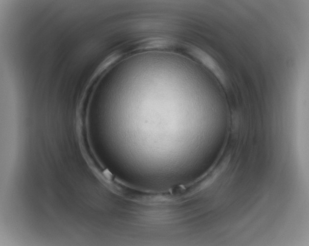 X0000113961042200910021522