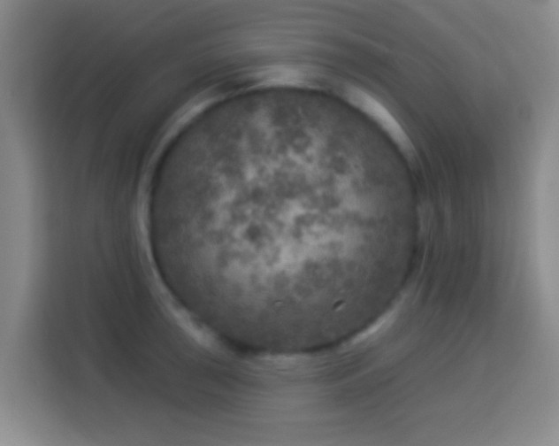 X0000113961043200910021522