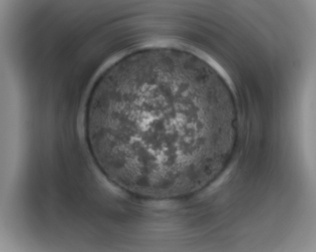 X0000113961045200910021522