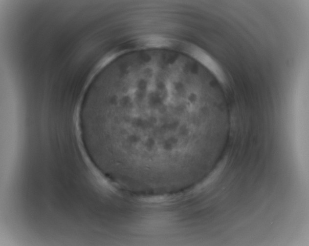 X0000113961047200910021522