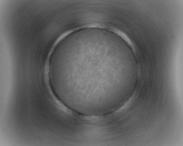 X0000113961048200910021522