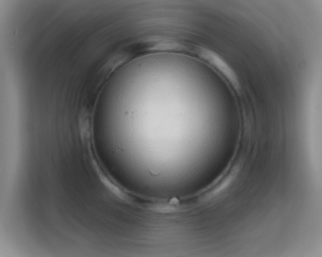 X0000113961049200910021522