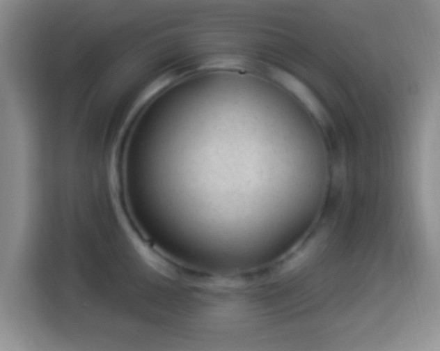 X0000113961050200910021522