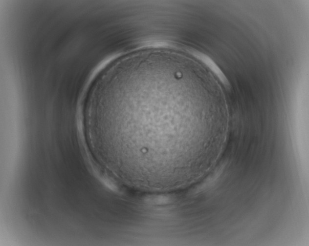 X0000113961051200910021522