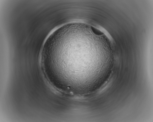 X0000113961052200910021522