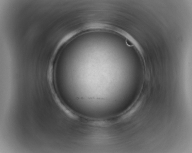 X0000113961053200910021522