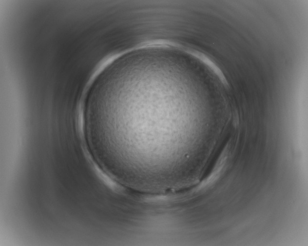 X0000113961054200910021522