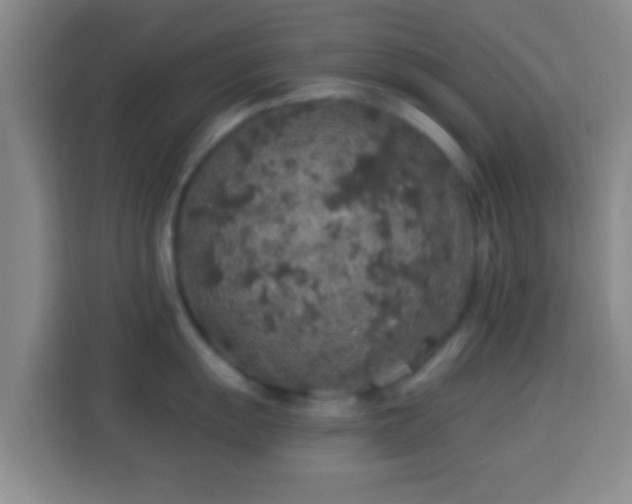 X0000113961055200910021522