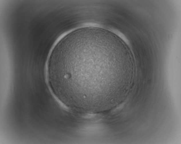 X0000113961056200910021522