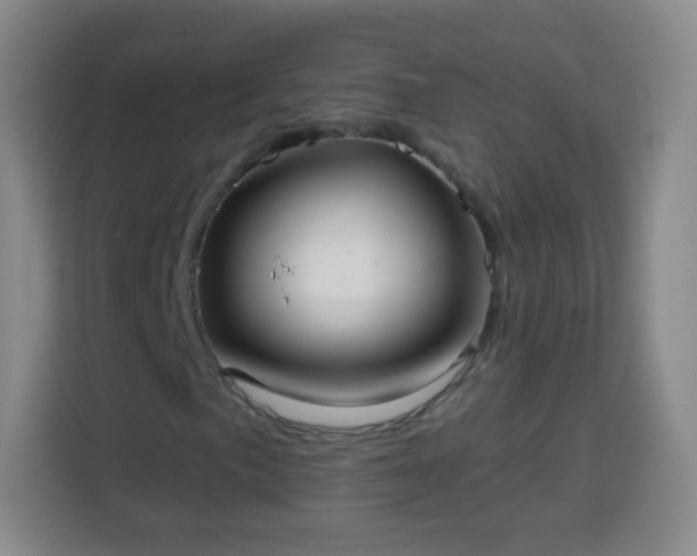 X0000113961057200910021521