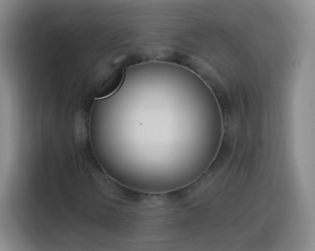 X0000113961058200910021521