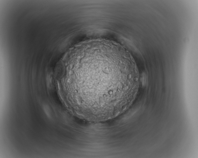 X0000113961059200910021521