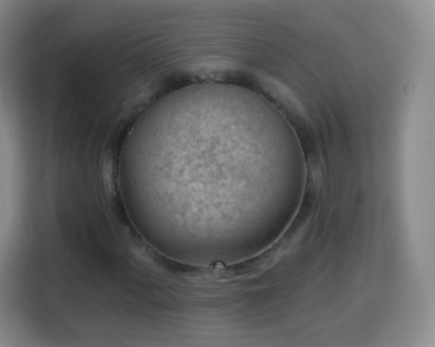 X0000113961060200910021521