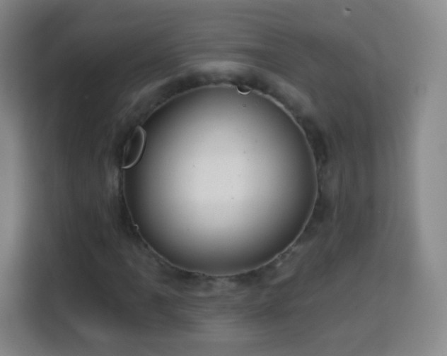 X0000113961061200910021521