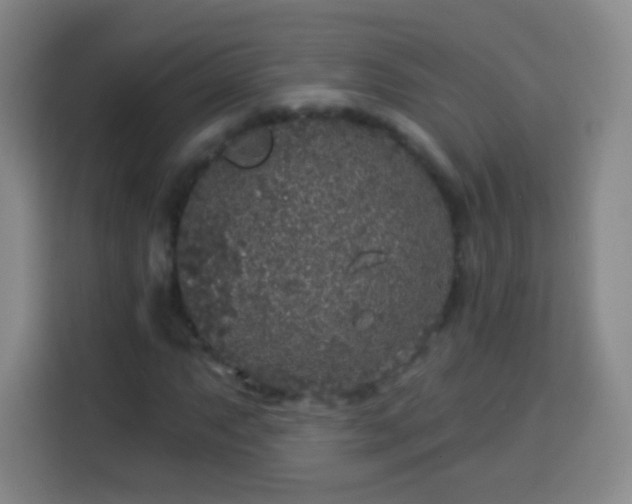 X0000113961063200910021521