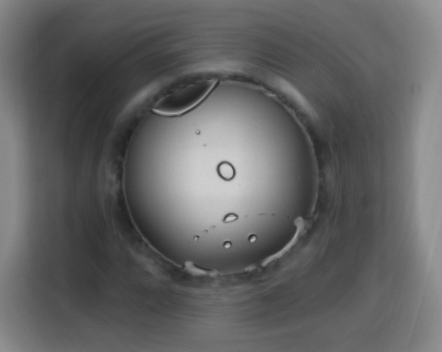 X0000113961064200910021521