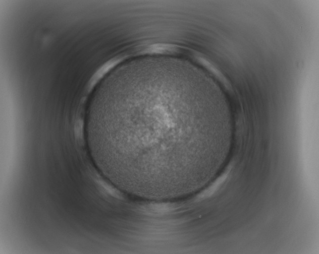 X0000113961066200910021521